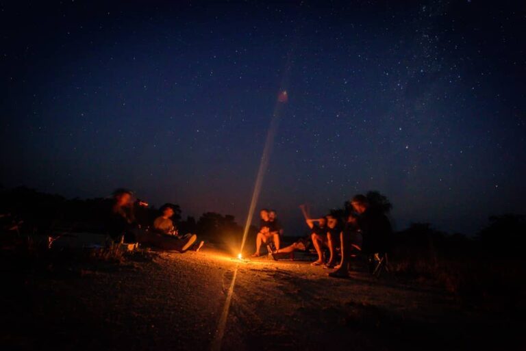 trail-nights-under-the-stars