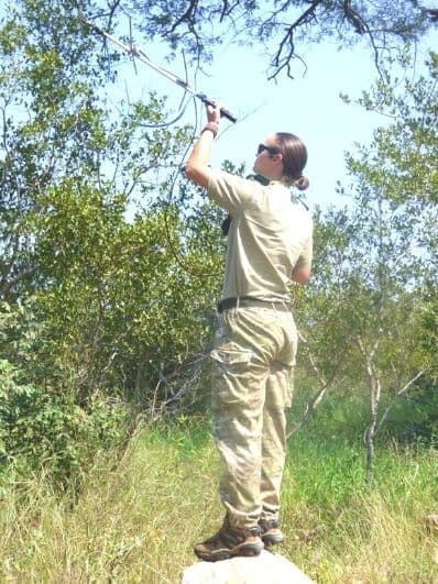 black-rhino-monitoring-balule
