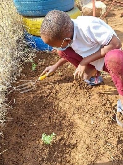 bush-babies-education-program