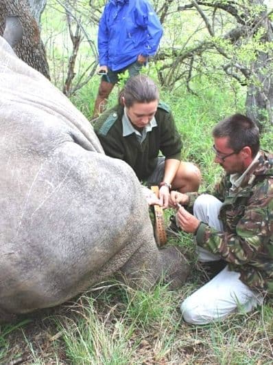 tracking-unit-on-rhino