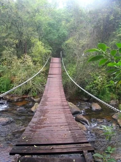 fanie-botha-hike-swing-bridge