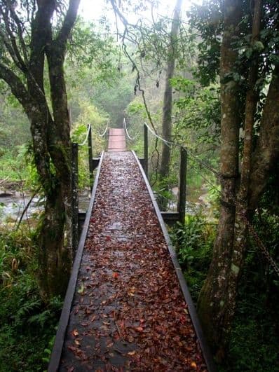fanie-botha-hike-wooden-trails