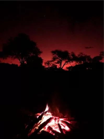 campfire-at-night-trailsfood
