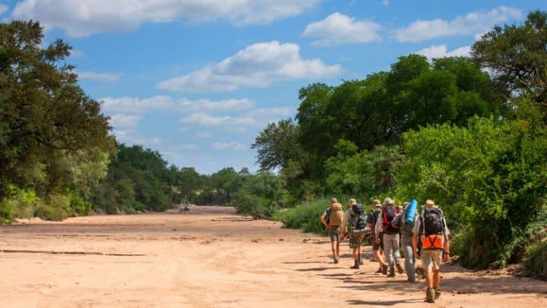 lowveld-trails