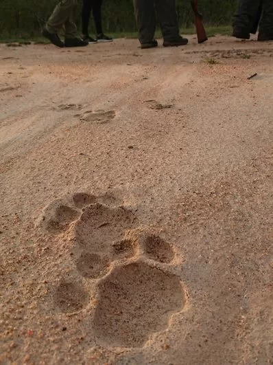 tracks-di-adventure-trailsfood