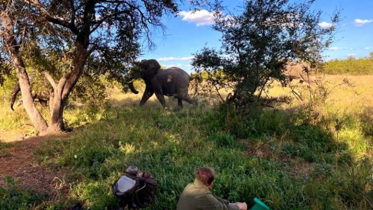 close-up-encounters-in-kruger