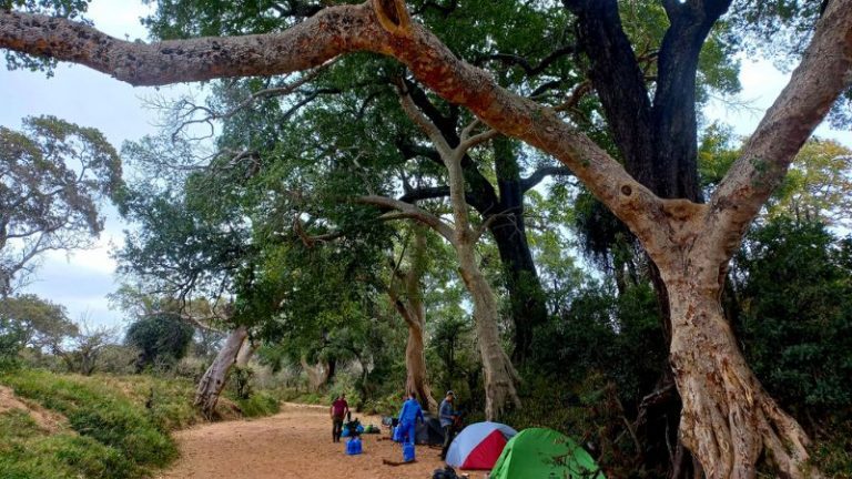 kruger-trail-riverbed-camping