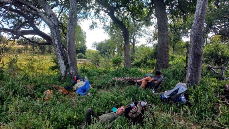 the-kruger-park-trail