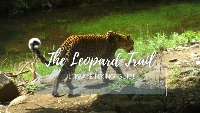 baviaanskloof-leopard-trail-hiking-adventure