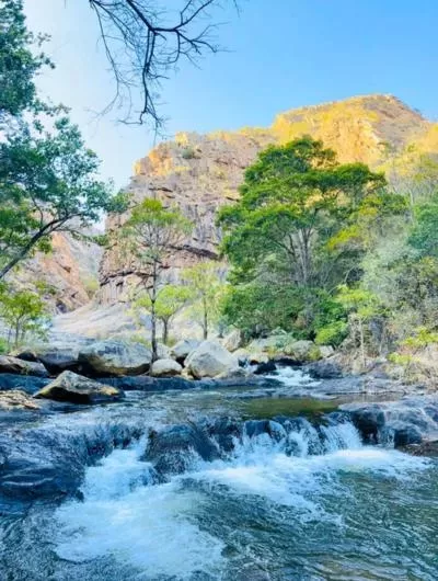 afternoon-otters-malolotja