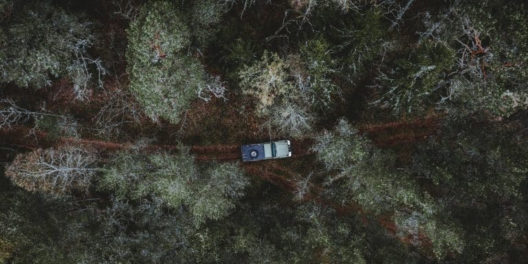 aerial-view-car-driving-forest-surrounded-by-tall-trees