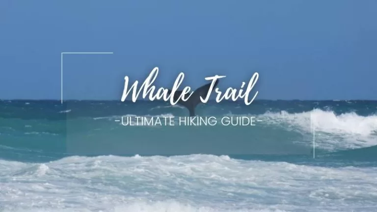 whatsapp image 2024 12 05 at 12.46.14