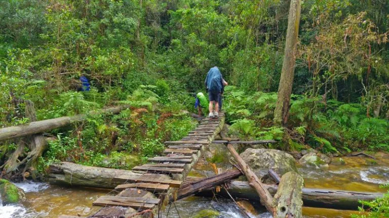 crossing the politsi river magoebaskloof