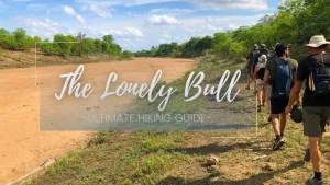 lonely bull guide header