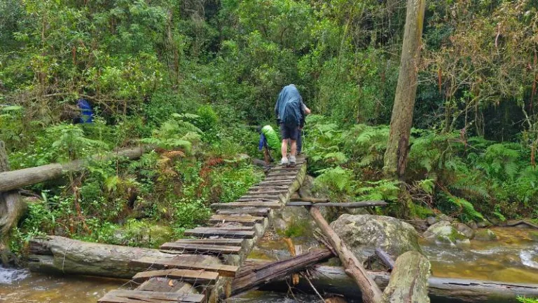dodgy river crossings