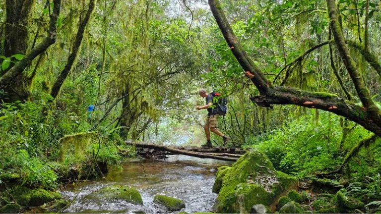 magoebaskloof