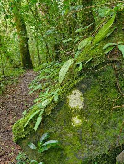 magoebaskloof hike markings