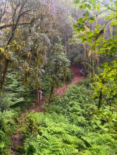 slippery magoebaskloof descents