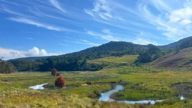 waterfall hut broederstroom magoebaskloof