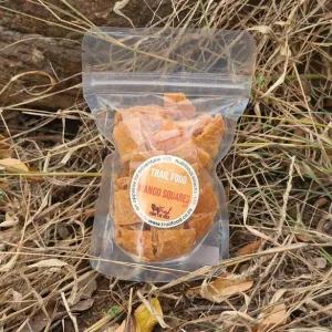 nutritious hiking snacks mango squares