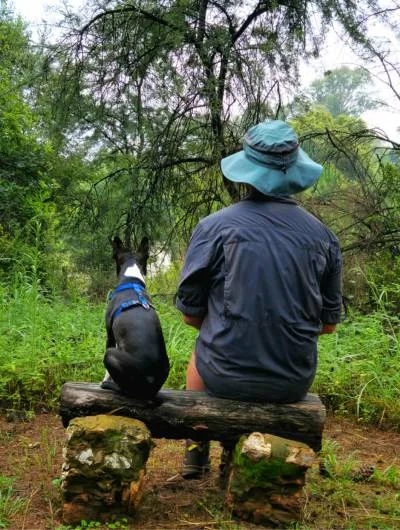 dog and man friends forever