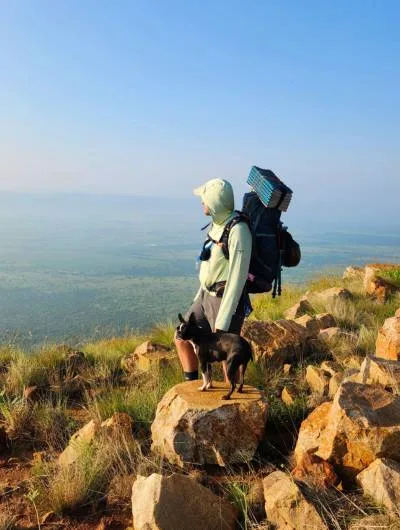 hiking with dogs