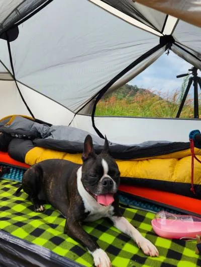 pet sleeping bags