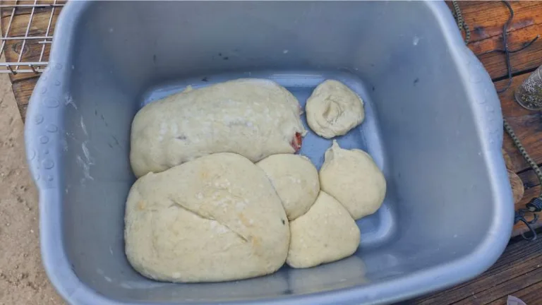 bread rising